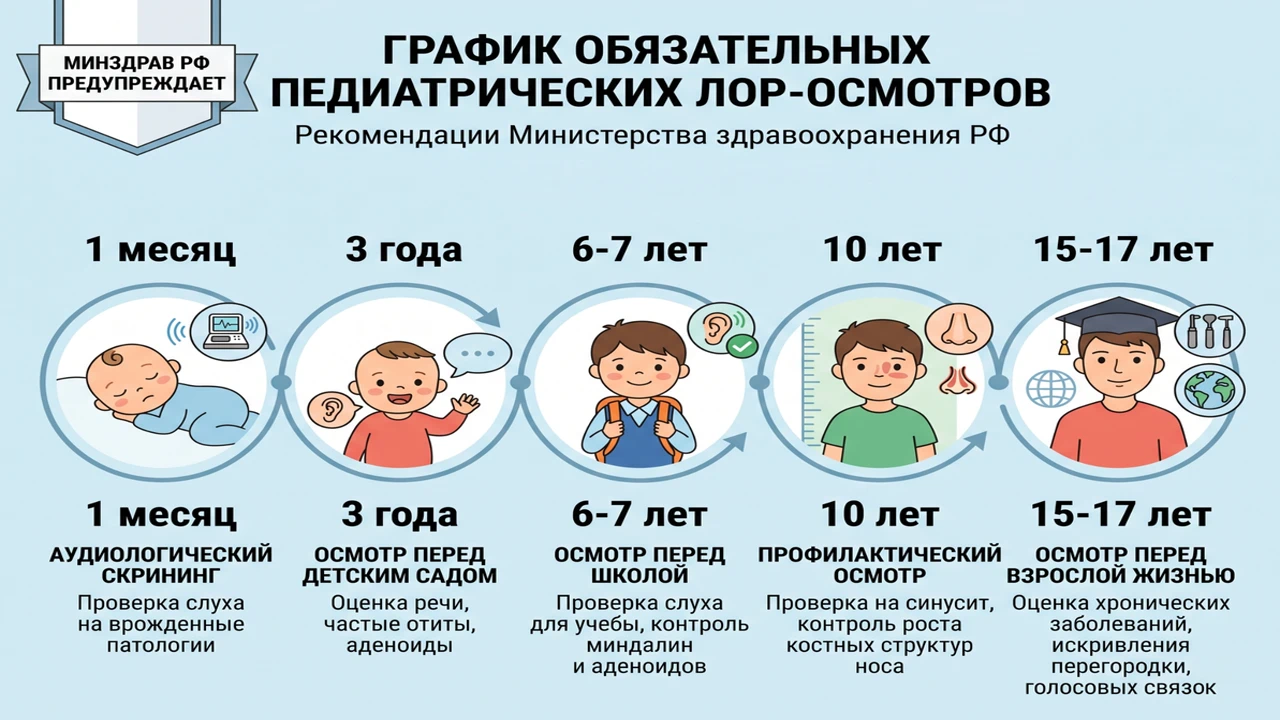 Официальный график плановых осмотров детей у ЛОР-врача по Минздраву